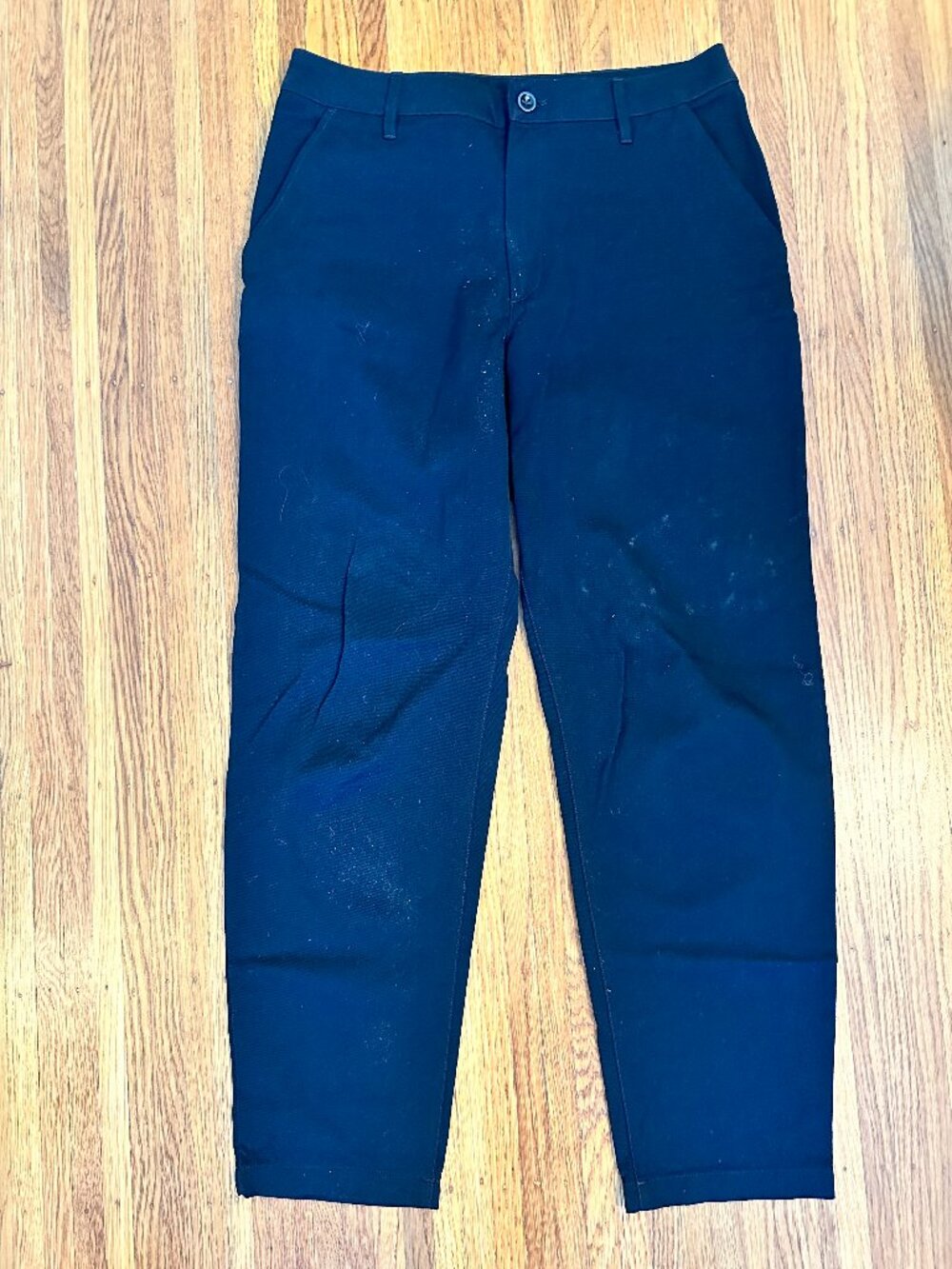 Icebreaker Wool Cotton Slacks 29
